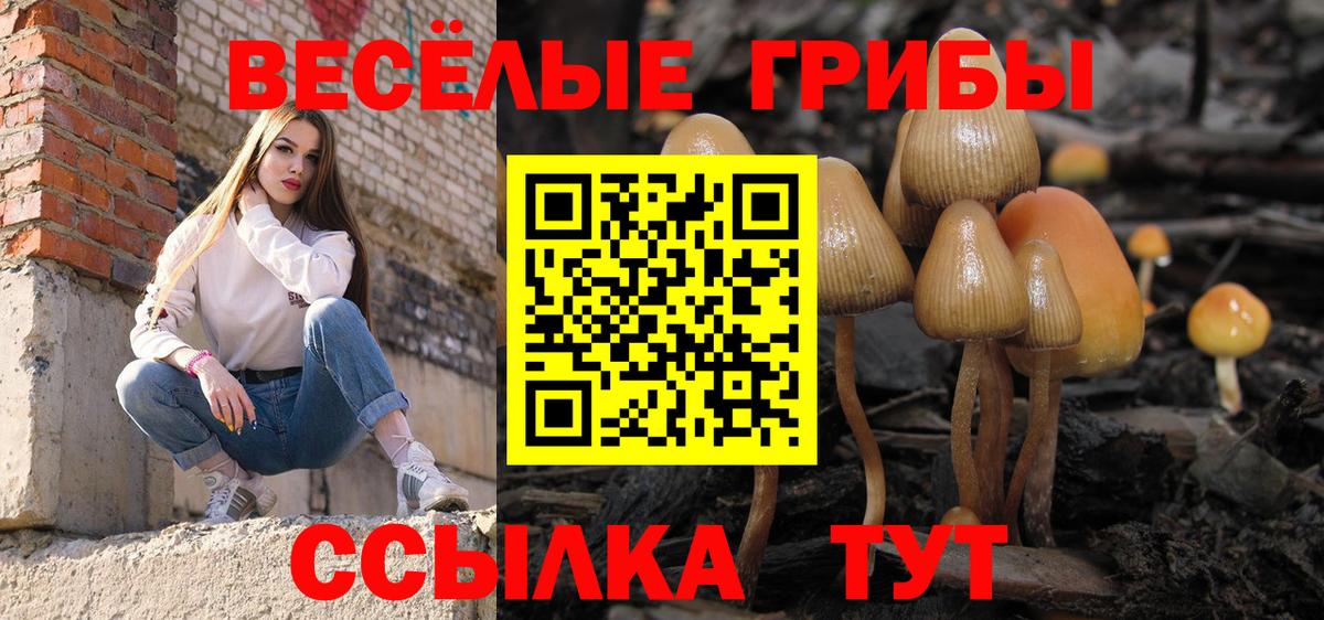 Галлюциногенные грибы мицелий Удомля