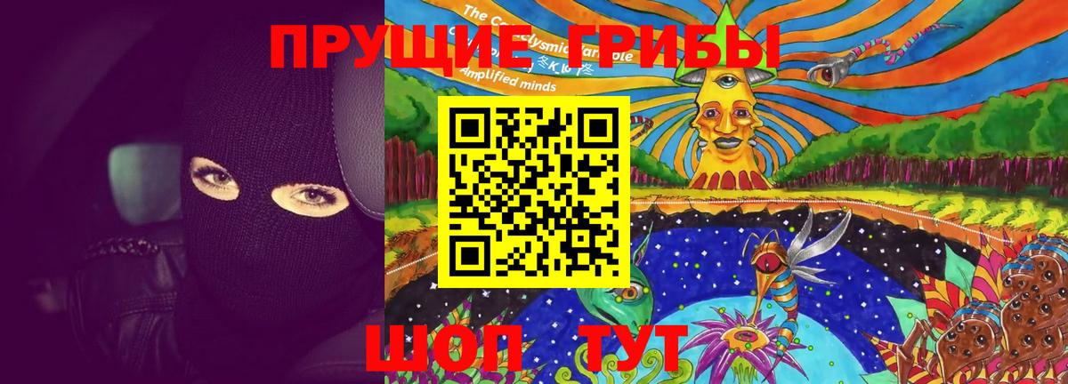 Удомля  Галлюциногенные грибы прущие грибы  Вход с VPN 